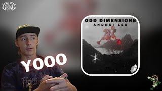 Andrei Leo - Odd Dimensions EP (REACTION)