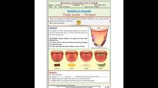 Class 7 Science worksheet no 23 || Ak smart study # Science worksheet no 23 class 7