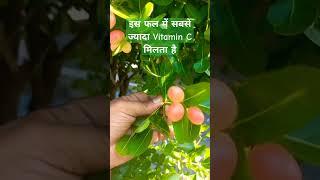 इस फल में सबसे ज्यादा Vitamin C मिलता है.. #shorts #fruit #health #meditation #viralvideo #funny