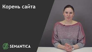 Корень сайта: что это такое и где он находится | SEMANTICA