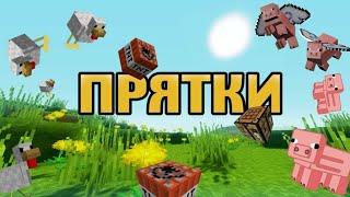 Я с другом играю прятки в майнкрафте.