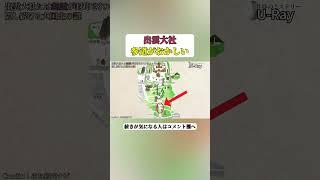 【出雲大社】参道がおかしい #shorts #都市伝説 #歴史