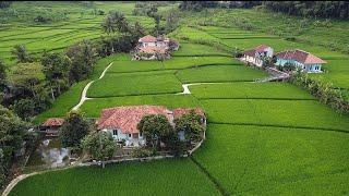 Ya Allah, Pengen Banget Tinggal Disini! Suasana Kampung Ditengah Sawah, Tenang Tentram Bikin Betah