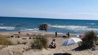 Südfrance   L' Espiguette Nudebeach