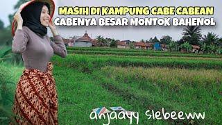 CELANA JADI BASAHKAMPUNG CABE MONTOK, BESAR, BAHENOL, PEDESAAN JAWA BARAT, PETUALANGAN ALAM DESAKU