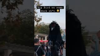 There’s something wrong with Big Bird at HHN