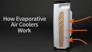 How Swamp Coolers Work | Sylvane