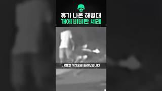 휴가 나온 해병대 묶인 개에 비비탄 세례
