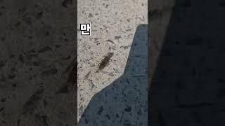 이것 좀 봐 쉰기하지? #청년농부진이