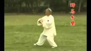 传统杨式太极拳八十五式 Yang Style Taiji Quan 85