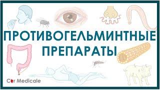 Противоглистные/противогельминтные средства - немного о паразитах, механизм действия, побочка