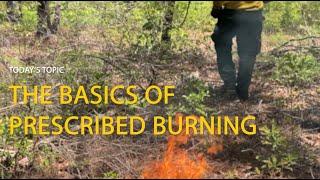 Prescribed Burning | Forest Stewardship Virtual Field Day Series