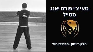 טאי צ'י פורם יאנג סטייל - חלק ראשון | תרגול בעקבות המורה עם אמיר פרלמן