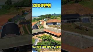 2천만원대 ! 진입로 넓고 텃밭 좋고  뼈대 튼튼 시골집 !