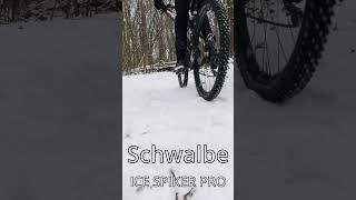 Schwalbe ICE SPIKER PRO Mountainbike Reifen