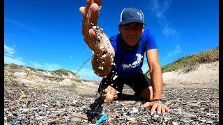 #Beachcombing - Microplastic Accumulation