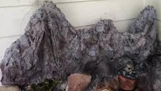 Riêng một góc vườn
