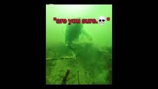 Best underwater finds 