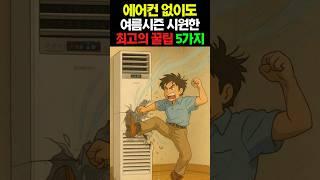 에어컨 없이도 여름시즌 시원하게 보내는 최고의 꿀팁 5가지 #건강 #건강정보