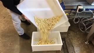 TOMRA 5B Optimizes Food Sorting