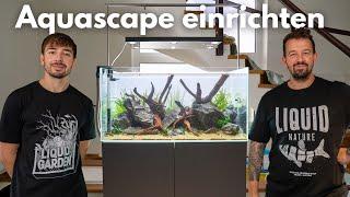 Wie baut man ein Aquascape? mit Dominik Lebersorger