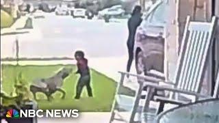 Video captures mother saving toddler attacked by dog