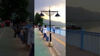 This is Kashmir #travel #kashmir #vlog