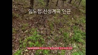 청송임야급매 254,832㎡ 매1억6000만​신성계곡인근 인근 경상북도 청송군 안덕면 신성리 부동산급매물구합니다