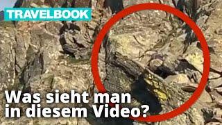 Mysteriöse Kreatur in der Schweiz entdeckt | TRAVELBOOK