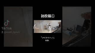 ガオガオナッツ始動…!!YouTube「ガオガオナッツ」で検索本編へレッツガオ!!#ガオガオナッツ#ちろる#たいが#始動 #初投稿