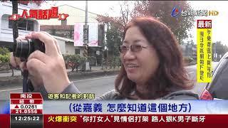 不必跑加拿大!台三線楓紅綿延數公里