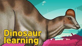 Dinosaur Hypacrosaurus Collection | herbivorous dinosaur Hypacrosaurus | 공룡 히파크로사우루스