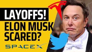 Elon Musk Announcing MASSIVE TESLA Layoffs? Elon's TOP SECRET plan REVEALED! 10% LAYOFFS?!