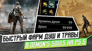 ГАЙД: БЫСТРЫЙ ФАРМ ДУШ И ТРАВЫ В DEMON'S SOULS НА PS5