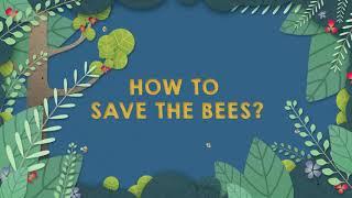 How to save the bees?