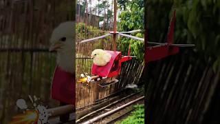 Fire Helicopter ~New Viral Gadgets, Smart Appliances, Kitchen Utensils/ Home Inventions #shorts