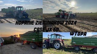 Kopanie ziemniaków 2024 cz1/2|case jx 60&wuhlmaus1533P netagco case farmal 110c lekka wtopa