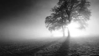 Poem - The Beauty in the Winter Garden...
