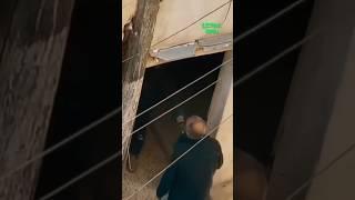 Он хотел спасти соседей, но не успел