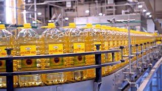 How is Sunflower Oil produced in a Factory  | Little-known facts about Sunflower Oil.