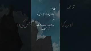 aur ek insaan ko he milta hai |aakib insights #islamicvideo #islamicshorts #shortsfeed