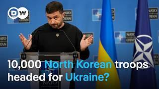 Zelenskyy: North Korean troop support for Russia could spark 'world war' | DW News