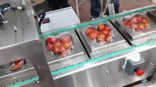 מכונה למילוי במגשיות A filling machine in to the tray Prima Vizanski consulting