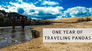 ONE YEAR OF TRAVELING PANDAS