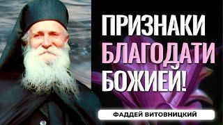 Мы сами себя поедаем и разрушаем психически,  все потому, что...Фаддей Витовницкий