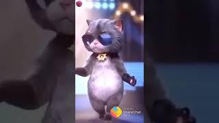 Vignesh