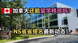 加拿大移民｜加拿大还能留学移民吗？NS省提名最新动态！｜留学移民｜新移民｜#S哥聊枫叶国