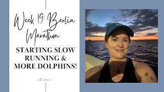 Week 19 Berlin Marathon Training: Dolphins & First Outdoor Run After Injury!