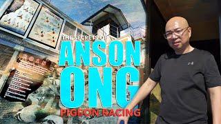 Secrets of Mr. Anson Ong in Pigeon Racing