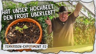 Hochbeet Update & Beeren Anbau auf unserer Terrasse!  | Episode 2